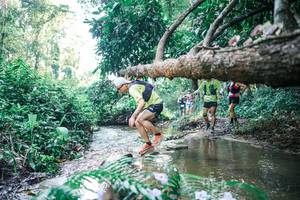 BIB: 
                            <button type="button" onclick="openModal(25441794)" class="btn btn-primary btn-sm float-right btn-popup" data-toggle="modal" data-target=".modal-high-quality">
                        <i class="fas fa-shopping-cart"></i> Add to Cart
                    </button>
                                            <button type="button" onclick="isThisMe(25441794, true)" class="btn btn-success btn-sm float-right btn-popup btn-isme hidden" data-toggle="tooltip" data-placement="bottom" title="นี่คือรูปของคุณใช่ไหม คลิกที่นี่เพื่อเอาเข้าอัลบั้ม">
                        <i class="fas fa-plus"></i> Add to album
                    </button>
                    <button type="button" onclick="isThisMe(25441794, false)" class="btn btn-warning btn-sm float-right btn-popup btn-isnotme hidden">
                        <i class="fas fa-ban"></i> Remove from album
                    </button>